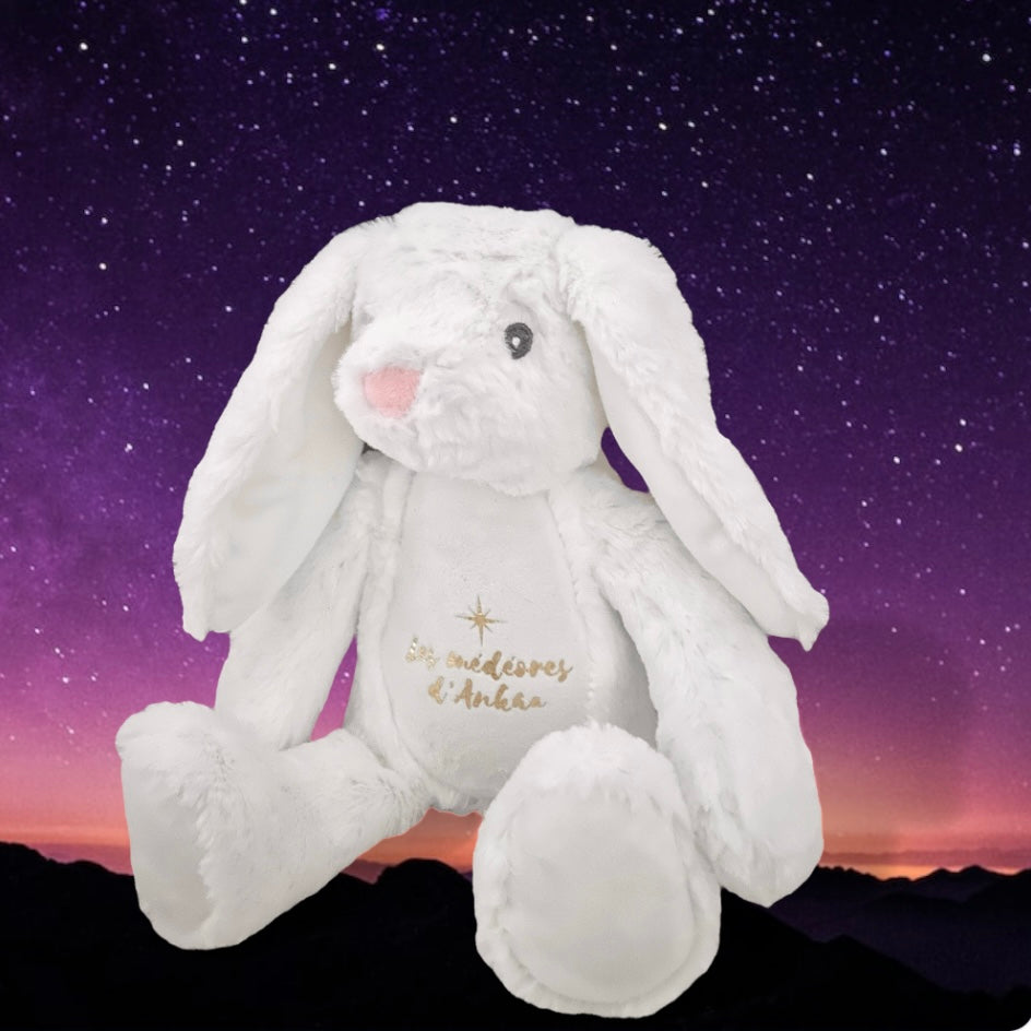 Plush Rabbit Anxieties and fears